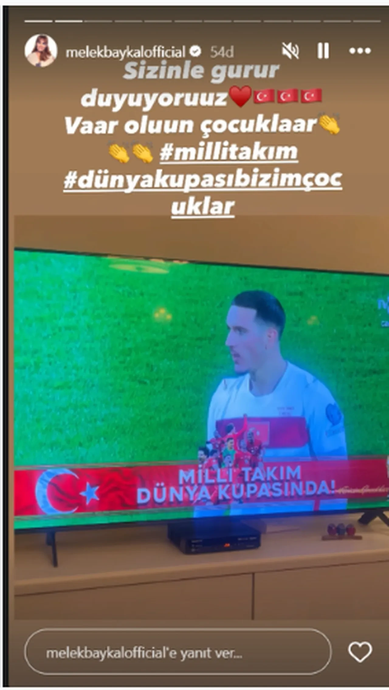 Ünlü isimlerin Dünya Kupası sevinci