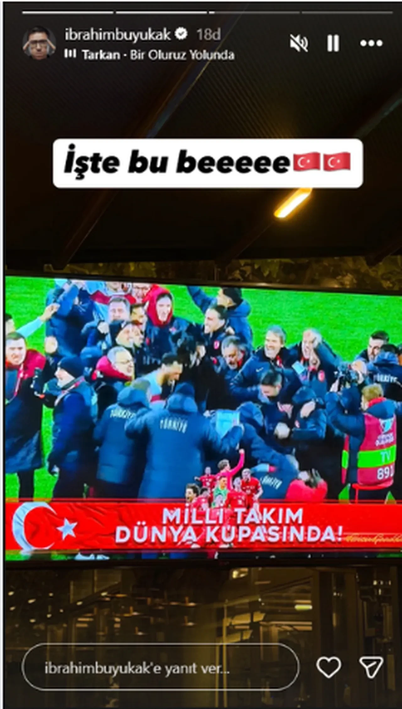 Ünlü isimlerin Dünya Kupası sevinci