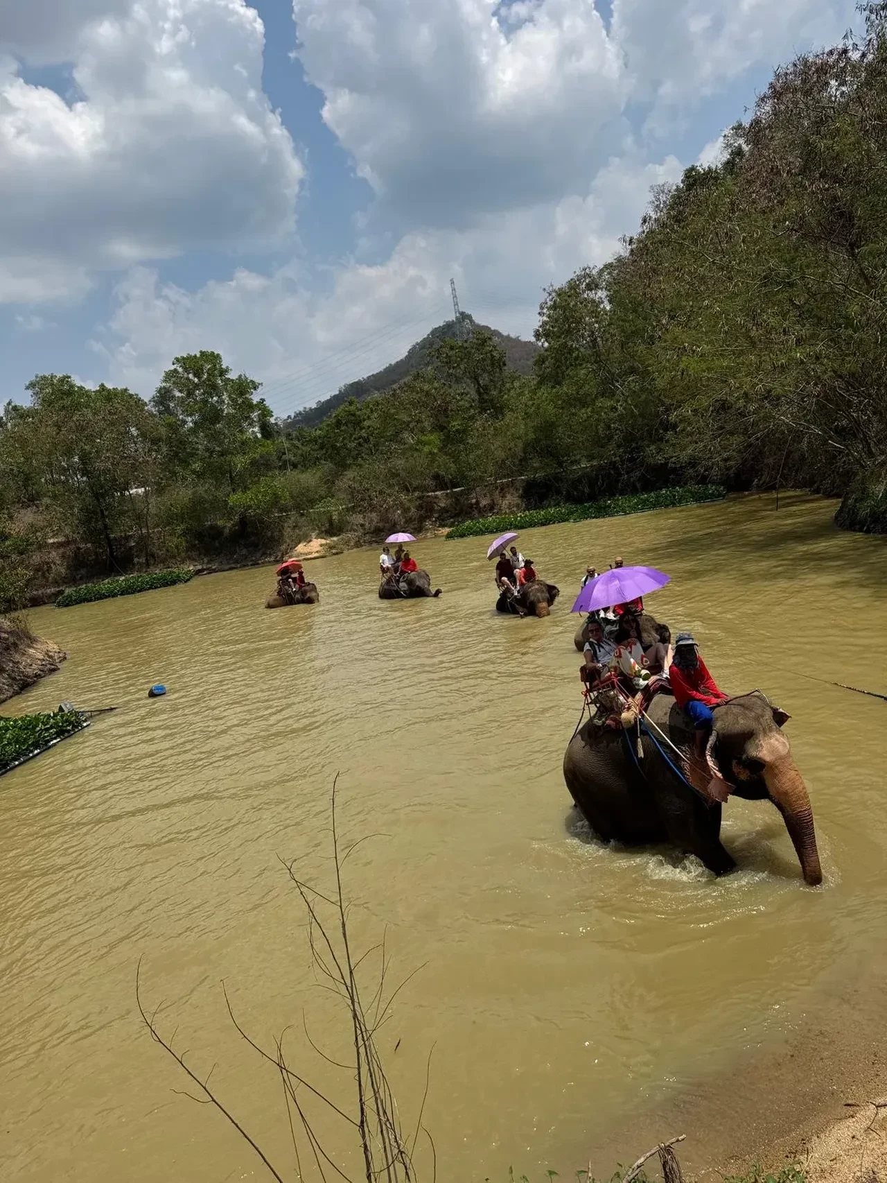 Doğa Sigorta başarılı acentelerini Bangkok ve Pattaya seyahati ile ödüllendirdi!
