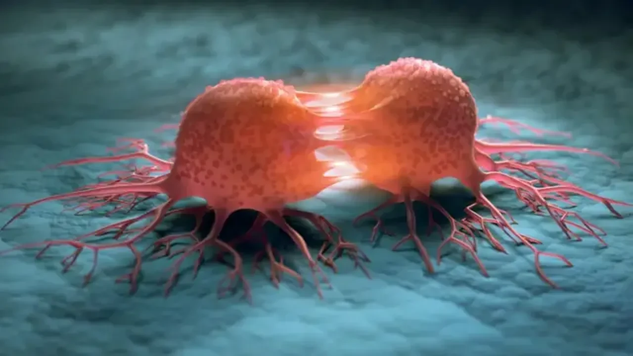 Evlenmeyenlere kötü haber! Ölümcül risk ortaya çıktı, 4 milyon vaka incelendi