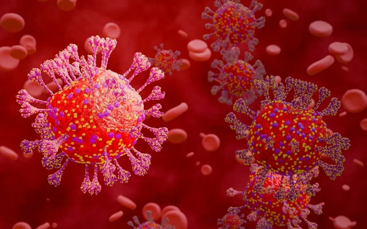 Evlenmeyenlere kötü haber! Ölümcül risk ortaya çıktı, 4 milyon vaka incelendi