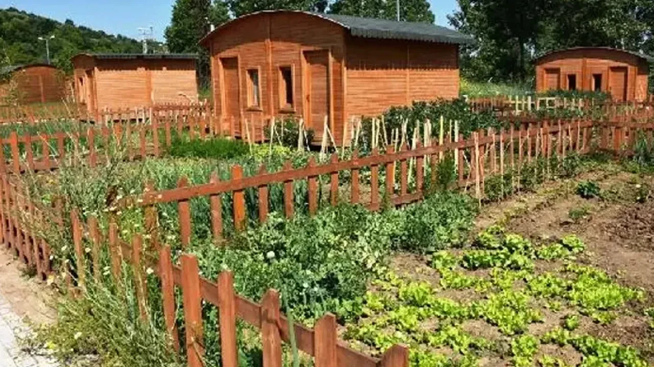 Hobi bahçeleri ve trafik cezalarında düğmeye basıldı! Cumhurbaşkanı Erdoğan talimat verdi! 