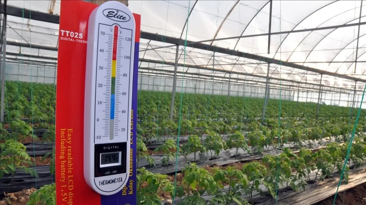 Meyve sebzede zirai don nöbeti başladı! Bakanlık tüm ekipleriyle sahada