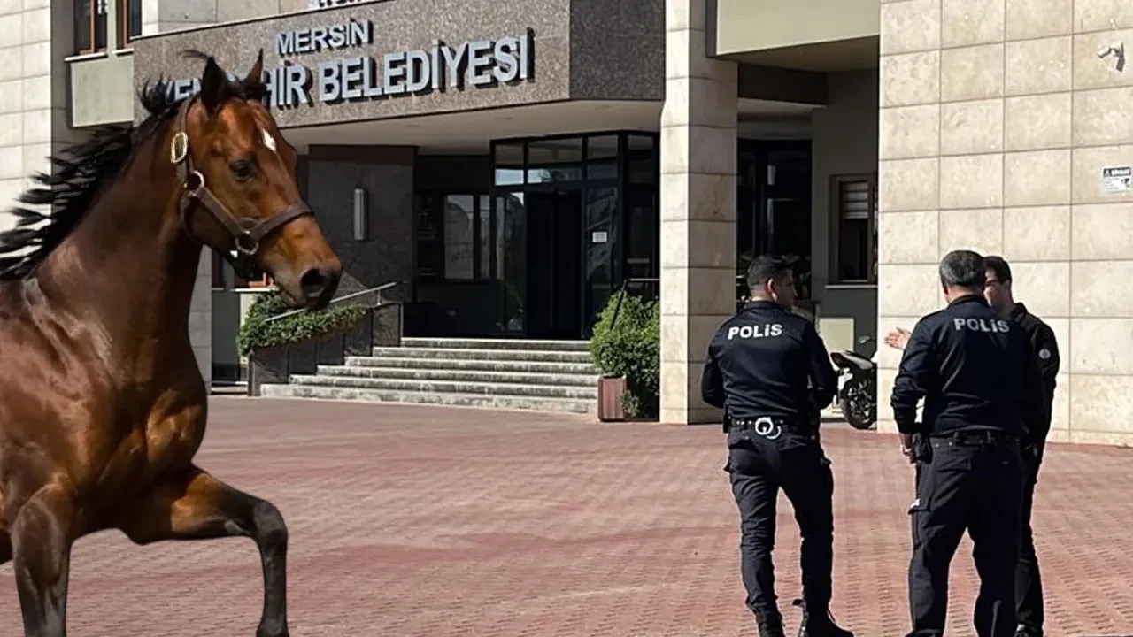 Yenişehir Belediyesi'ne yolsuzluk operasyonunda yarış atını millete yediren firmanın sahipleri de gözaltında