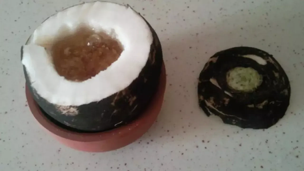 Göğüste birikmiş tüm balgamı söküp atar! Babaannelerimizin unutulmayan tarifi