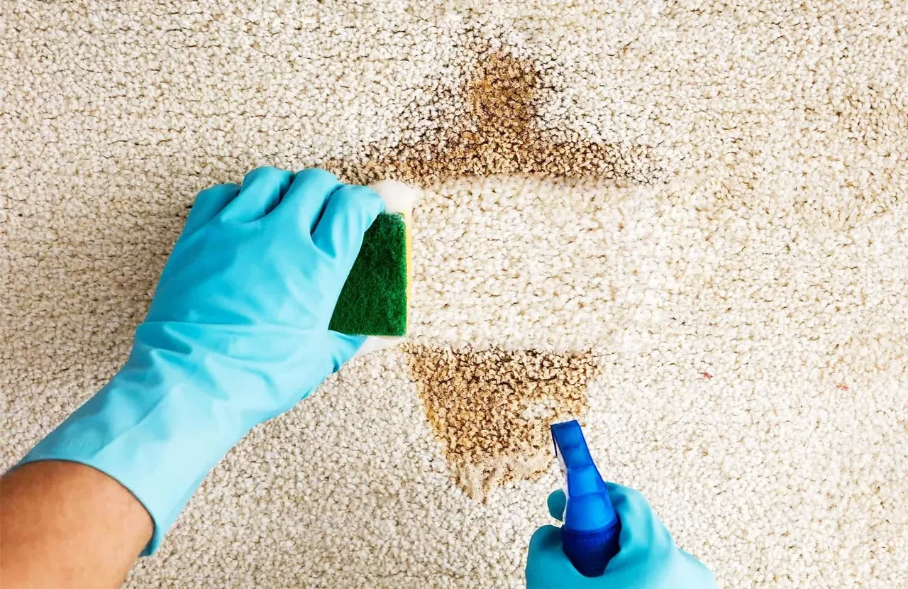 Halılara karbonat döküp süpürün! İşte temizlikteki ilk tüyo