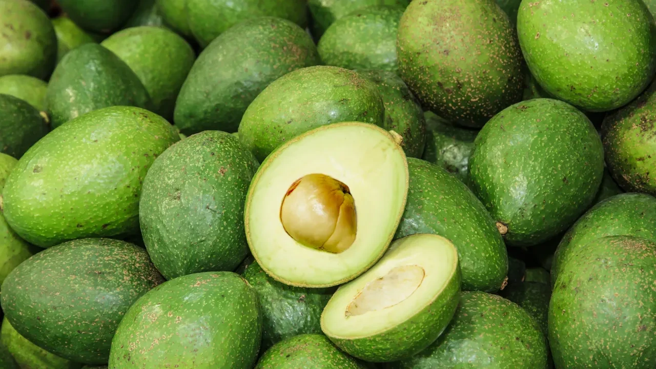 Kahvaltı sofralarının yeni gözdesi avokado sos! Hem zayıflatıyor hem de güzelleştiriyor