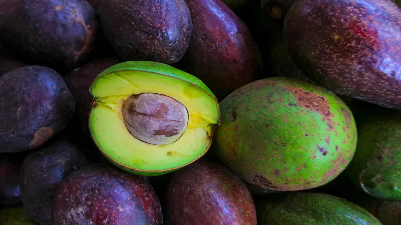 Kahvaltı sofralarının yeni gözdesi avokado sos! Hem zayıflatıyor hem de güzelleştiriyor