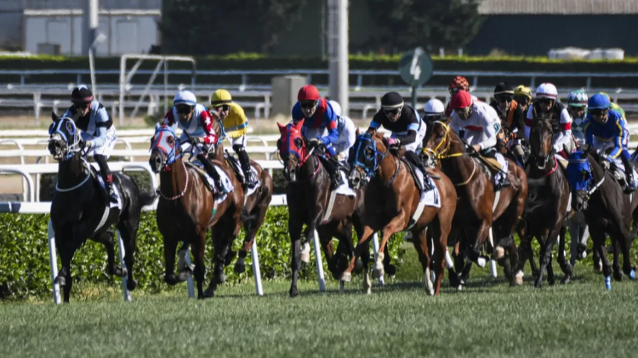 TJK'den 100. Gazi Koşusu'na özel logo! Dev yarışın logosu tanıtıldı