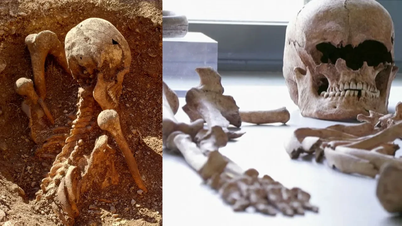 İlkokulun altından iskeletler çıktı! Üstelik oturur pozisyonda gömülüydüler