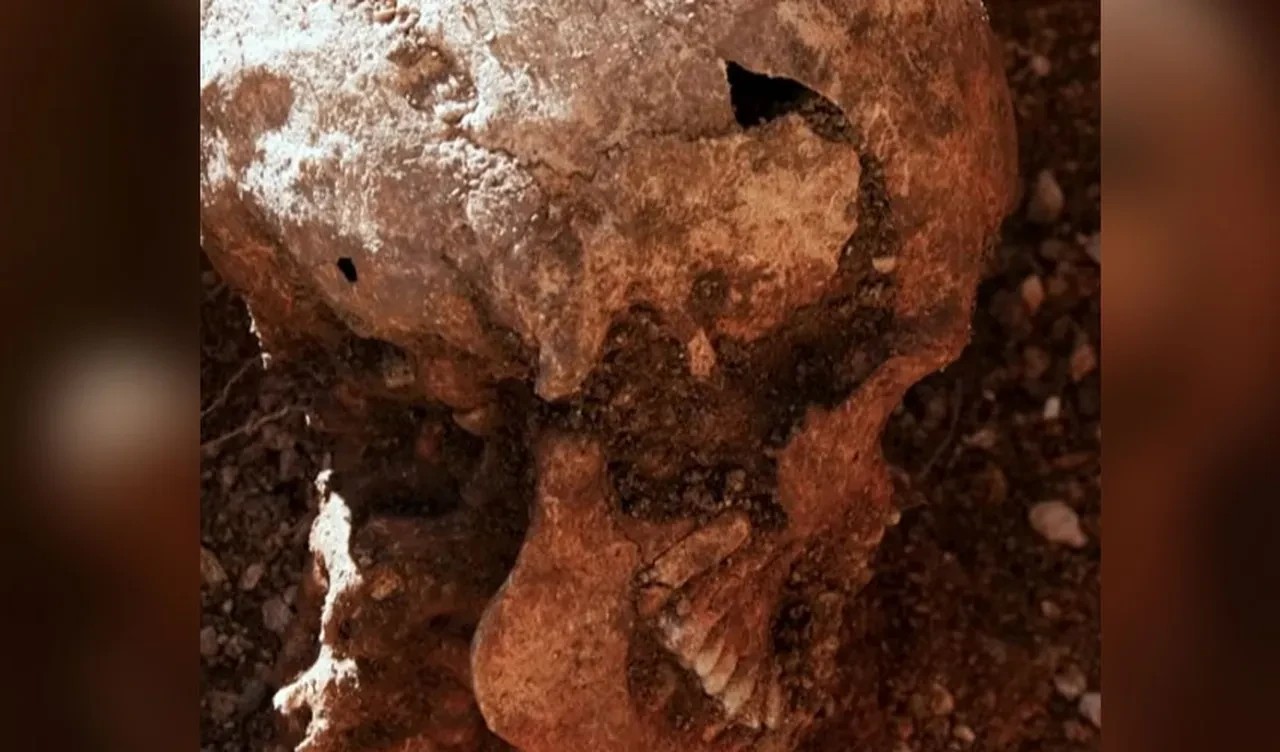 İlkokulun altından iskeletler çıktı! Üstelik oturur pozisyonda gömülüydüler