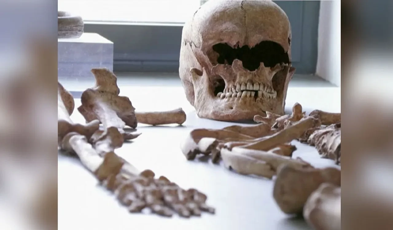 İlkokulun altından iskeletler çıktı! Üstelik oturur pozisyonda gömülüydüler