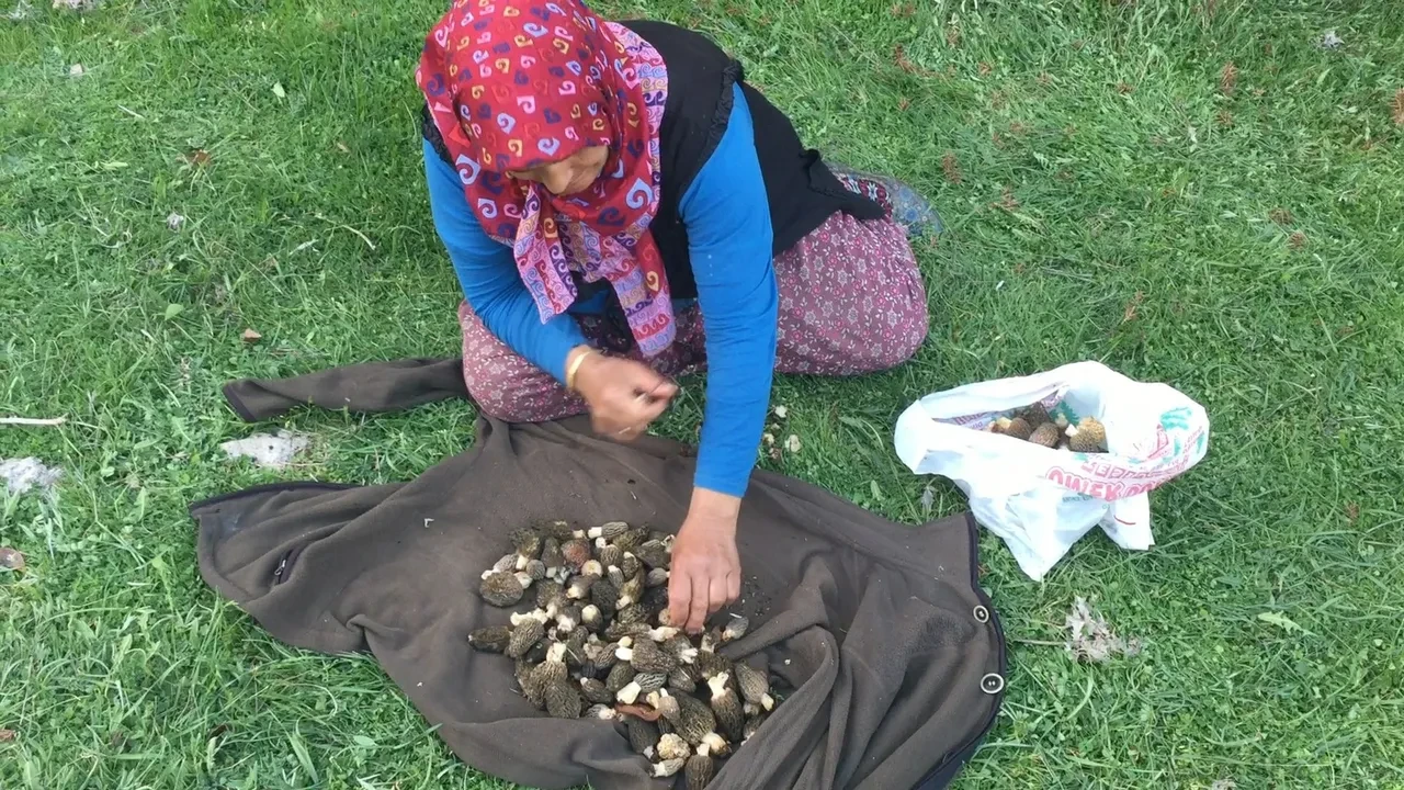 Sabahtan akşama kadar onu arıyorlar... Kod adı: Bin 800! 'İlk çıktığında kilosu 4 bin liraydı'