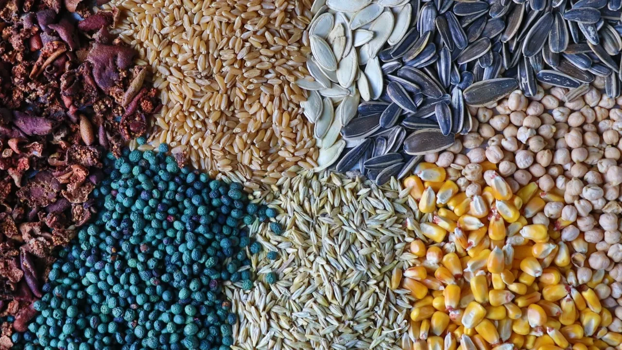 Seyahatname’de ismi geçiyor! 8 çeşit malzemeyle hazırlanan ‘Gavut’ zayıflamak isteyenlere tavsiye ediliyor