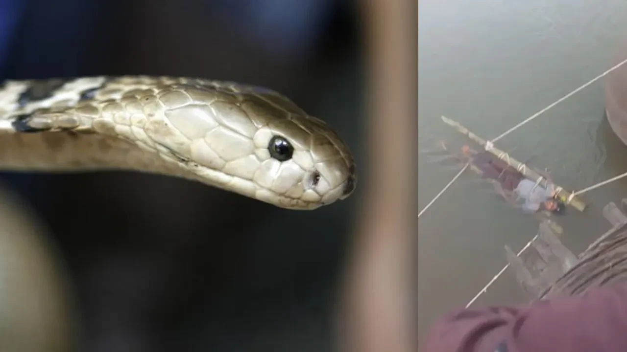 Sözde şifacının lafına uyup yılan ısıran çocuğa yaptıkları akılalmaz!