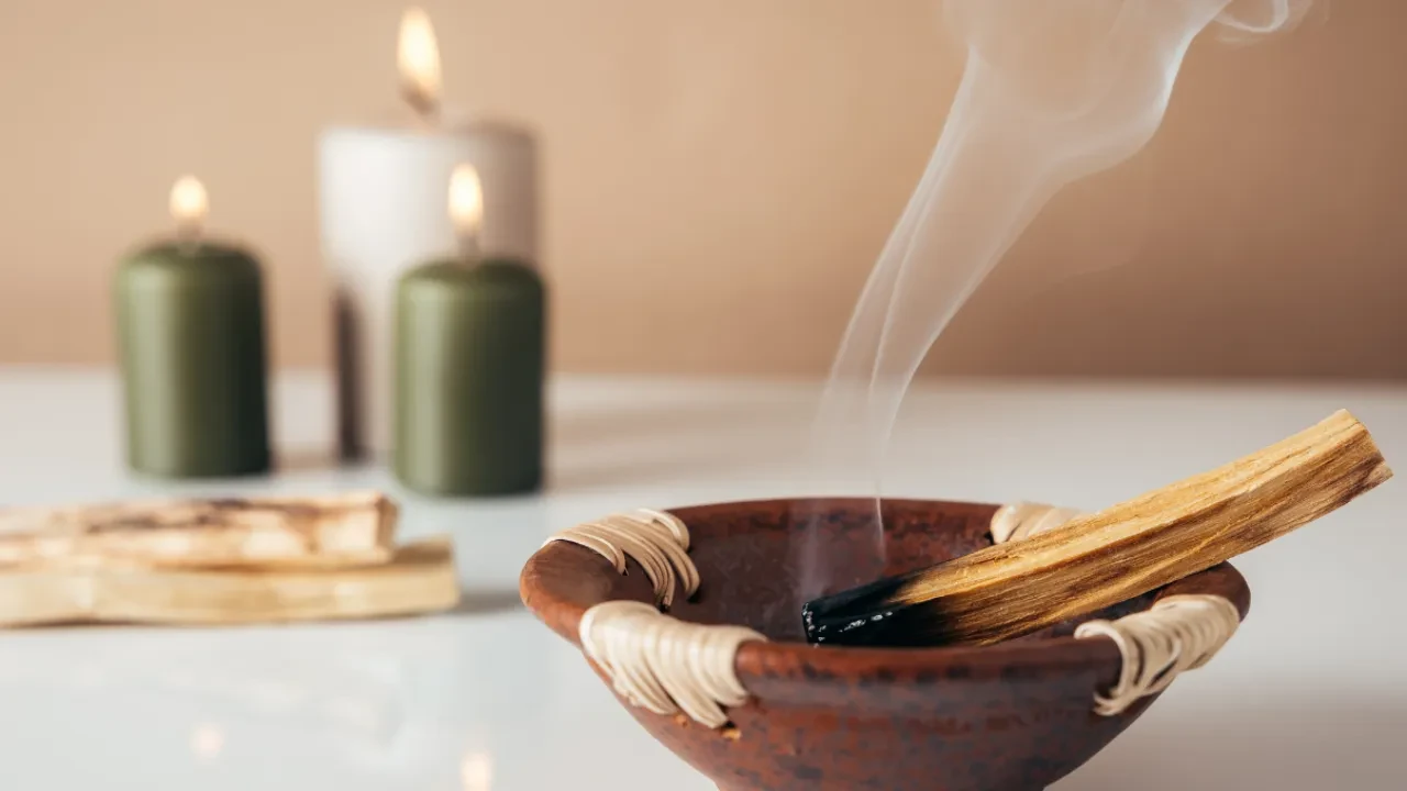 Evde yakılan adaçayı havadaki bakterileri temizler! Bilimsel olarak kanıtlandı