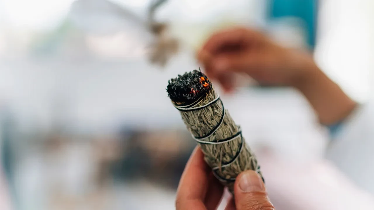 Evde yakılan adaçayı havadaki bakterileri temizler! Bilimsel olarak kanıtlandı