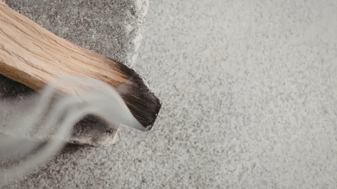 Evde yakılan adaçayı havadaki bakterileri temizler! Bilimsel olarak kanıtlandı