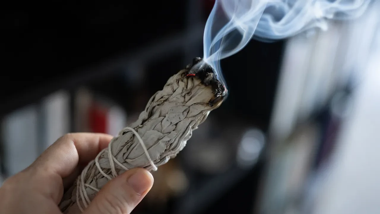 Evde yakılan adaçayı havadaki bakterileri temizler! Bilimsel olarak kanıtlandı