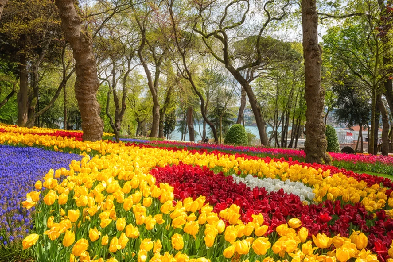2026 İstanbul Lale Festivali nerede yapılacak ne zaman?