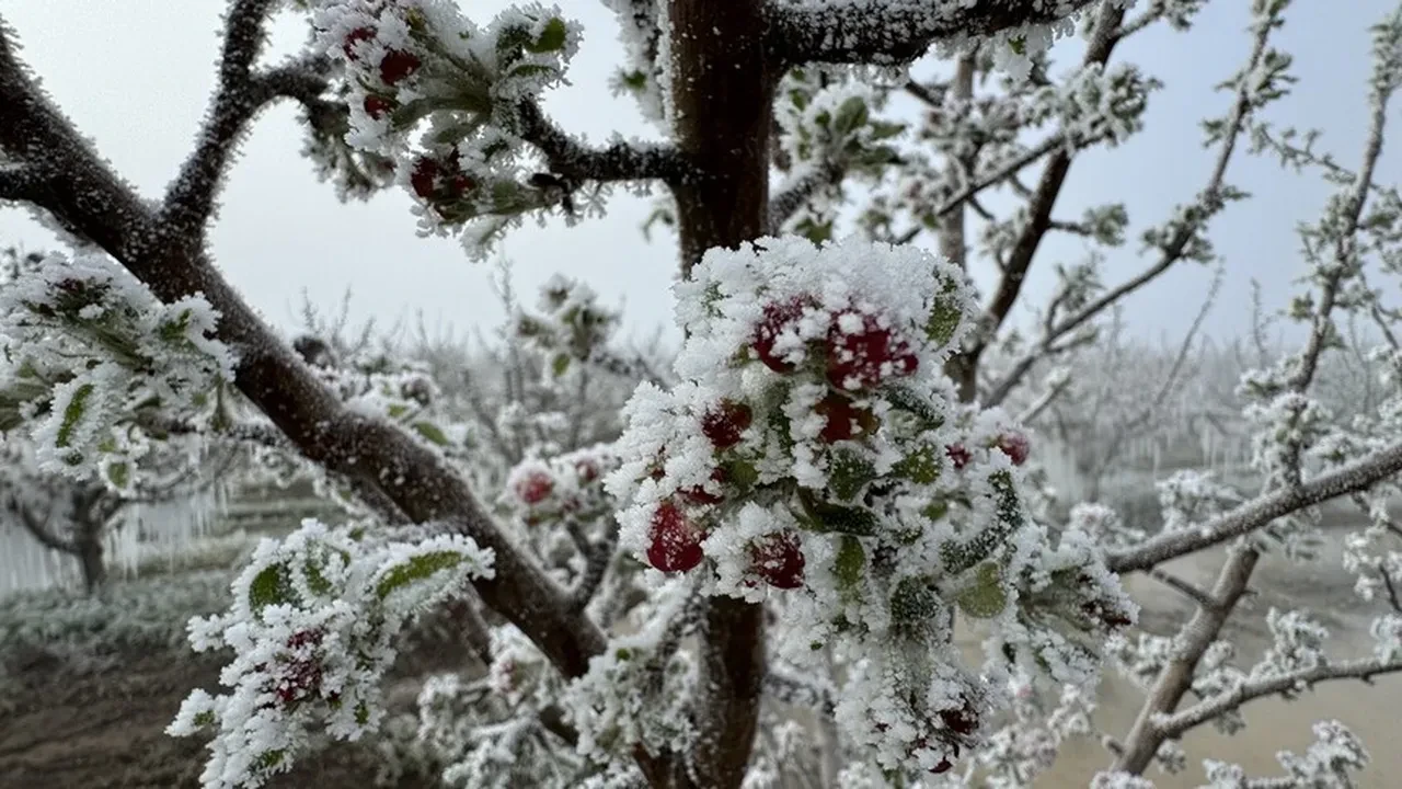 Bahar havası kısa sürecek: Önce güneş, sonra sağanak! Meteoroloji yağış için tarih verdi