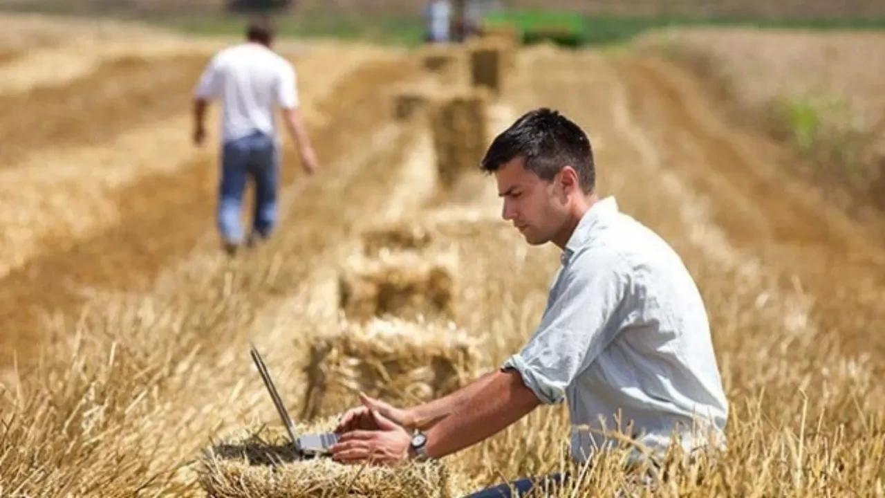 Bekara 2 evliye 3 asgari ücret! 'Köye dönüş' projesinin şartları belli oldu