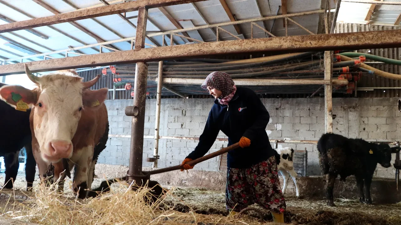 Bekara 2 evliye 3 asgari ücret! 'Köye dönüş' projesinin şartları belli oldu