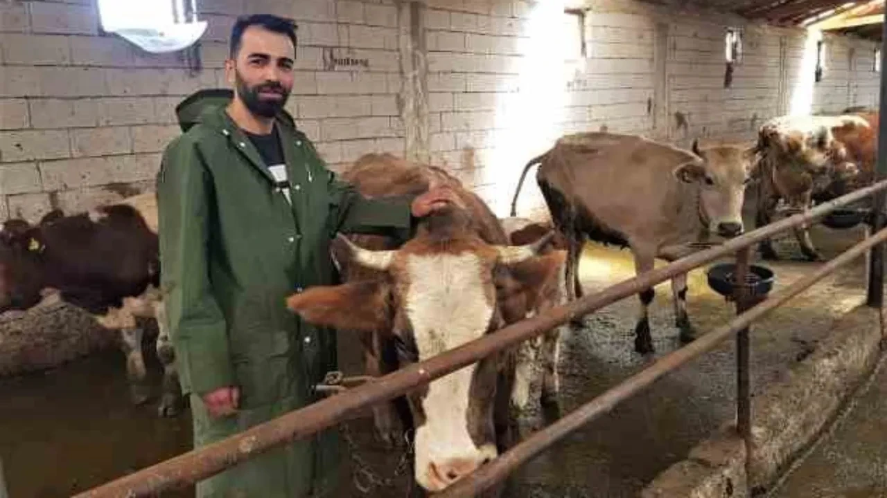 Bekara 2 evliye 3 asgari ücret! 'Köye dönüş' projesinin şartları belli oldu