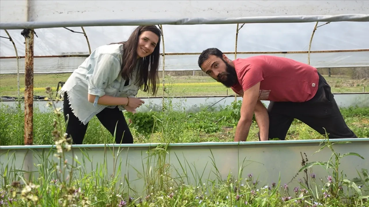 Bekara 2 evliye 3 asgari ücret! 'Köye dönüş' projesinin şartları belli oldu