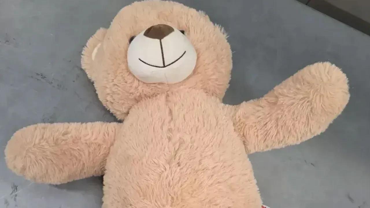 Herkesi şoke eden 50 bin euro'luk oyuncak ayı! Polis ekipleri harekete geçti