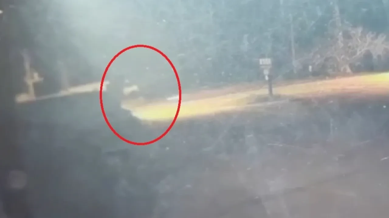 Otomobille çarpıştı, metrelerce havaya uçtu! Çanakkale'deki acı kaza kamerada