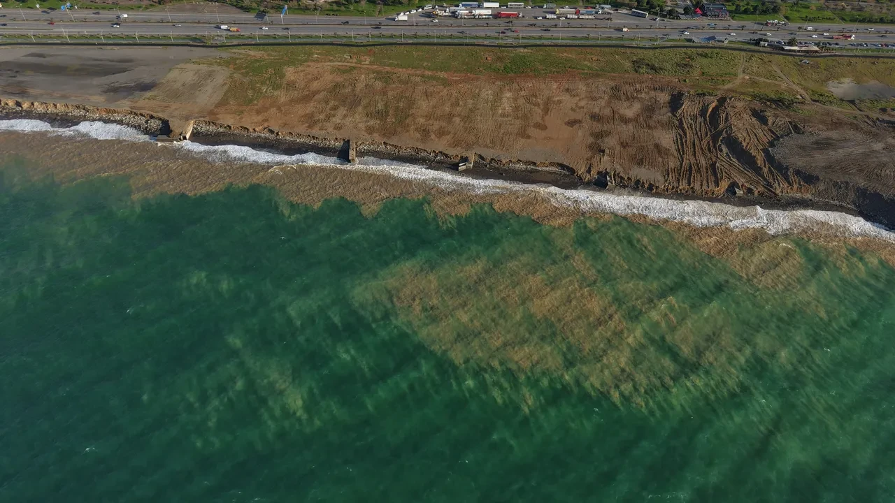 Trabzon sahilinde şoke eden görüntü