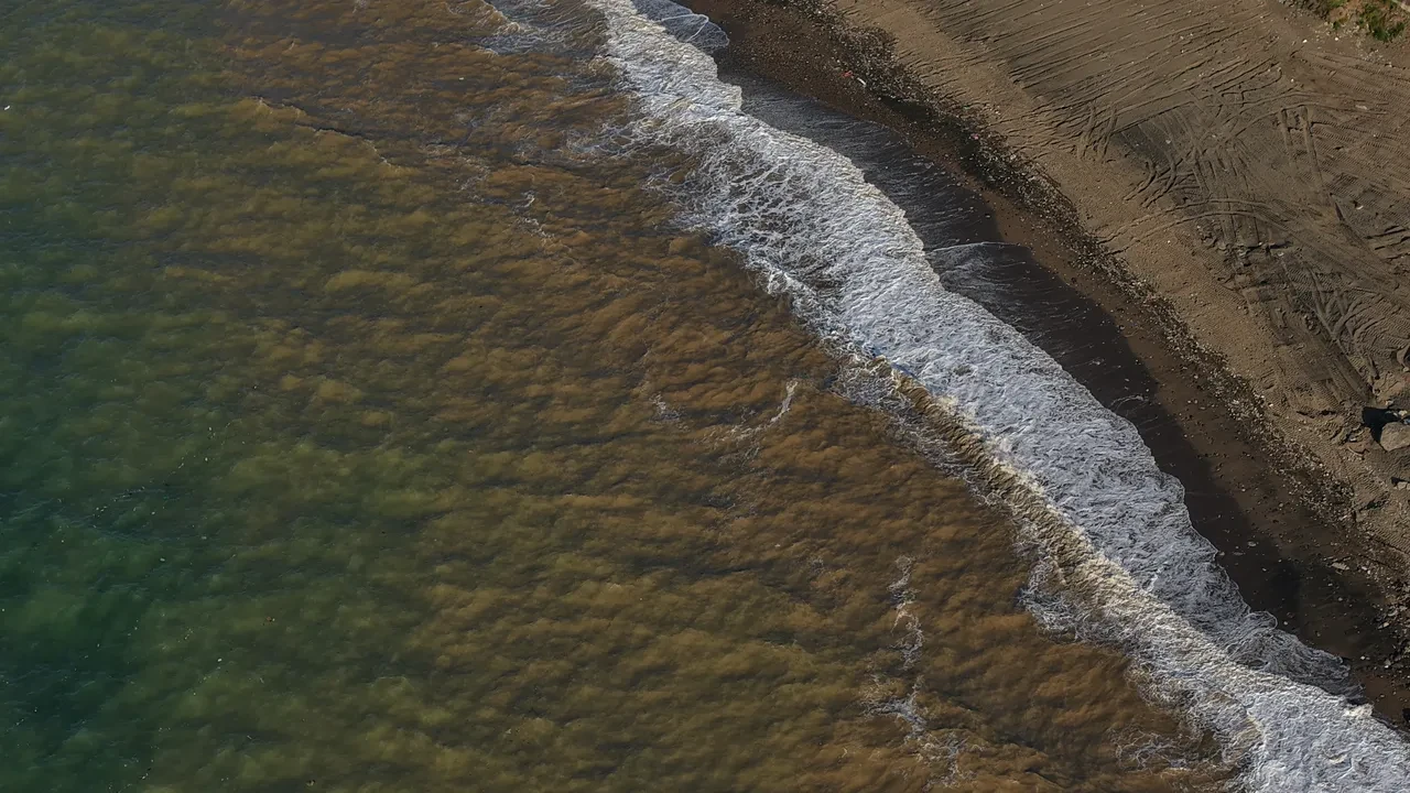Trabzon sahilinde şoke eden görüntü