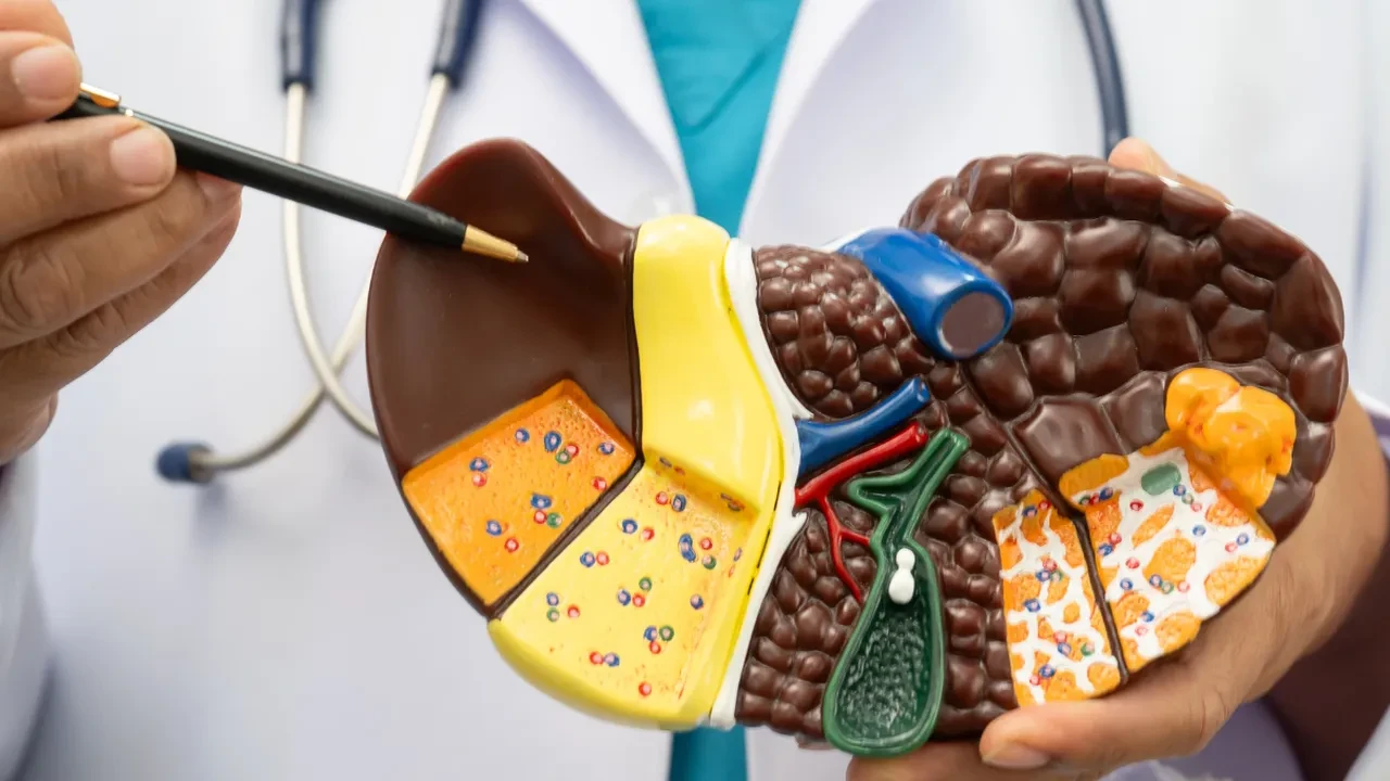 Karaciğeri temizleyen bedava besin! Vücudu yeniden başlatıyor