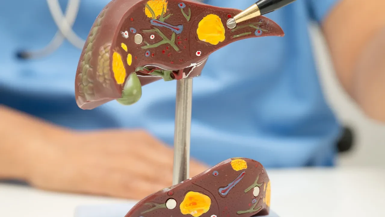 Karaciğeri temizleyen bedava besin! Vücudu yeniden başlatıyor