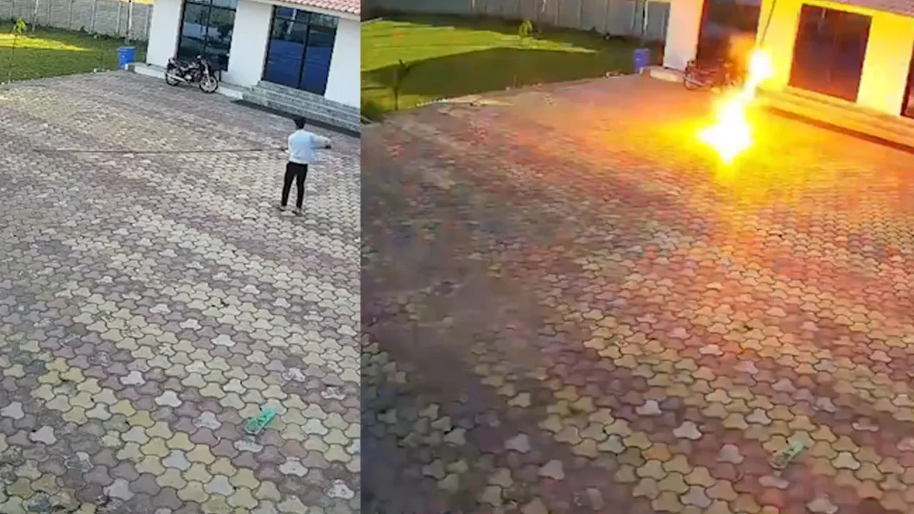 Demirle maymunu kovmak isterken çarpıldı! Hindistan'da feci ölüm