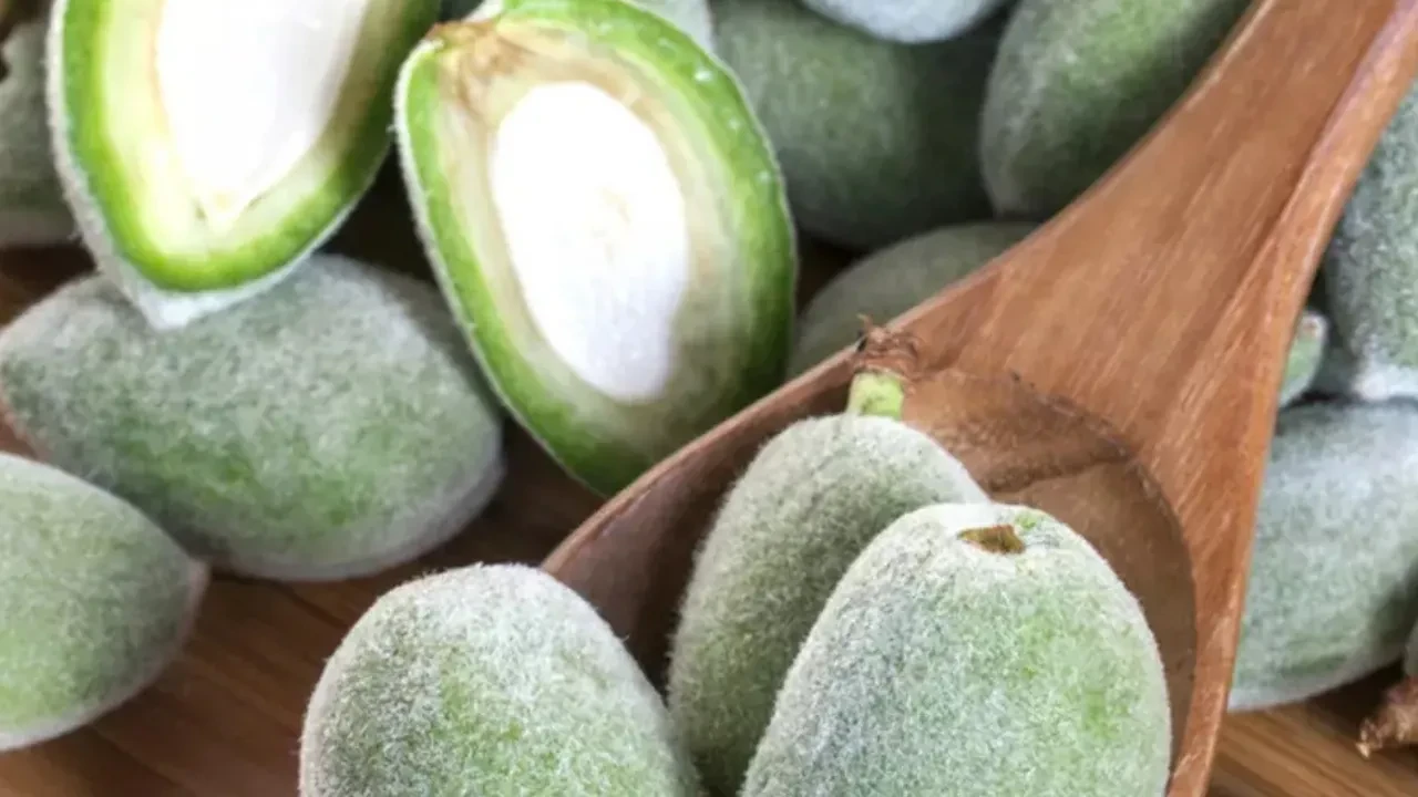 Erik ve çağlayı tuzla yiyenler dikkat! Ödem depoları doluyor