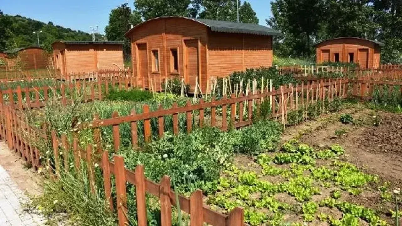 Hobi bahçesi için Erdoğan devrede! Onlara yaptırım uygulanmayacak