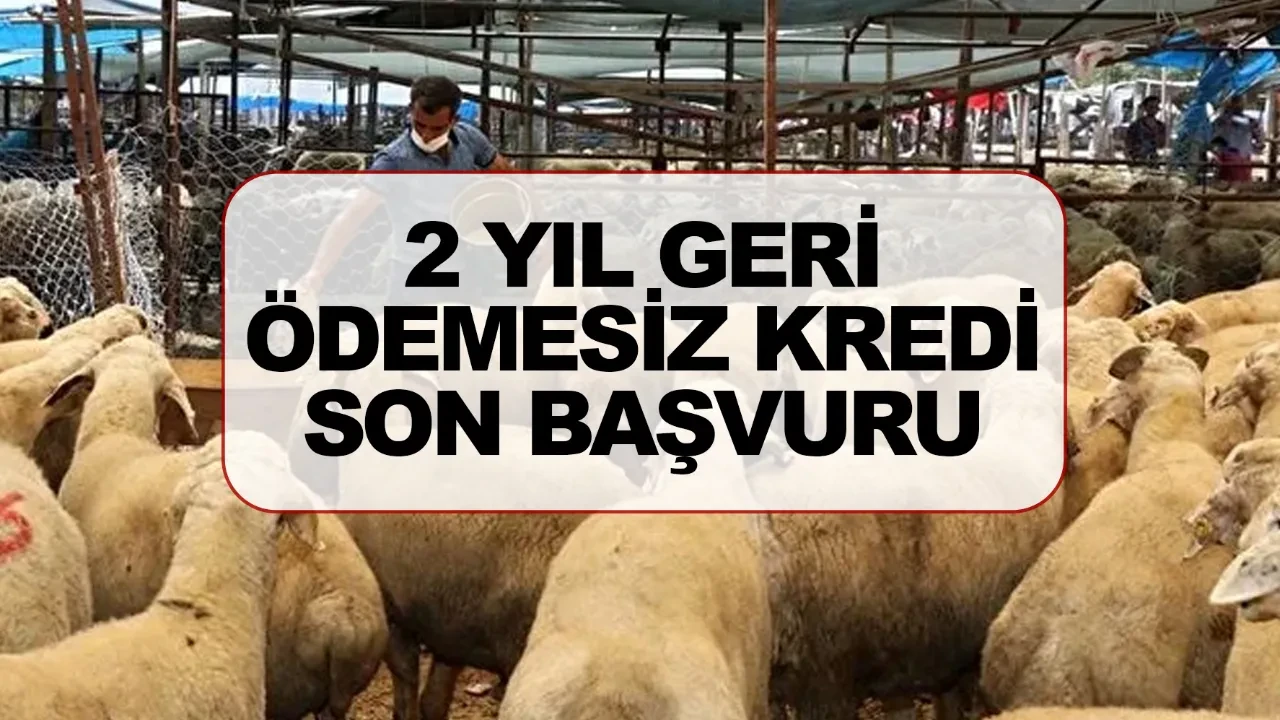 Kırsalda Bereket son başvuru ne zaman? 2 yıl geri ödemesiz kredi şartları