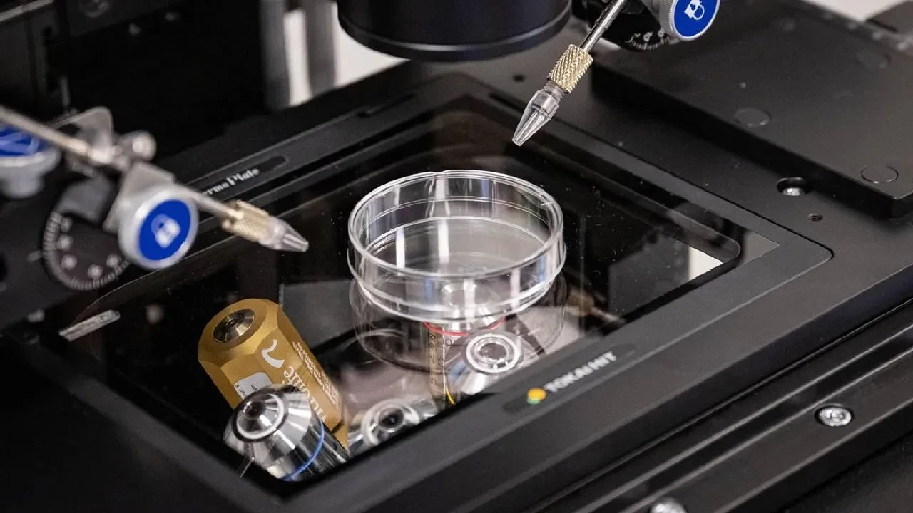 Tüp bebek tedavi ücreti için yeni dönem! Yaş sınırı ve prim gün şartı değişiyor