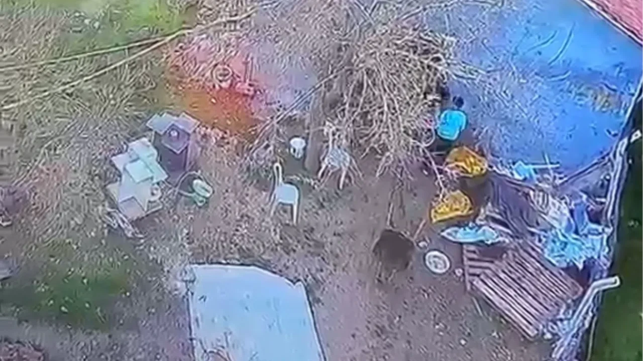 Davalı komşusuna av tüfeğiyle ateş açtı! Kavga anları kamerada