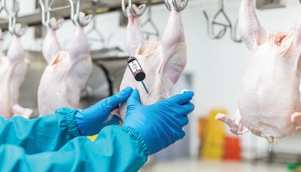 Taklit ve tağşiş listesi güncellendi, hileler gün yüzüne çıktı! İşte uygunsuz kanatlı etli tespit edilen gıdalar