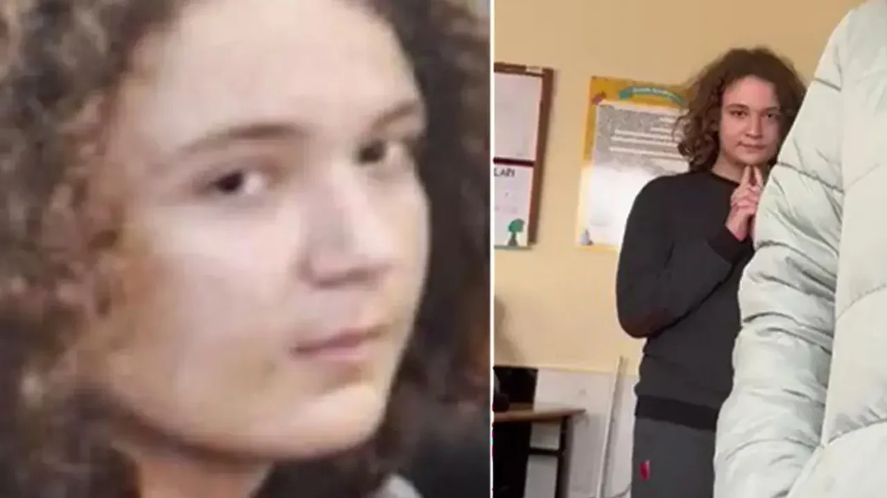 DMM'den Kahramanmaraş olayında filin ölmediğine dair iddialara net cevap