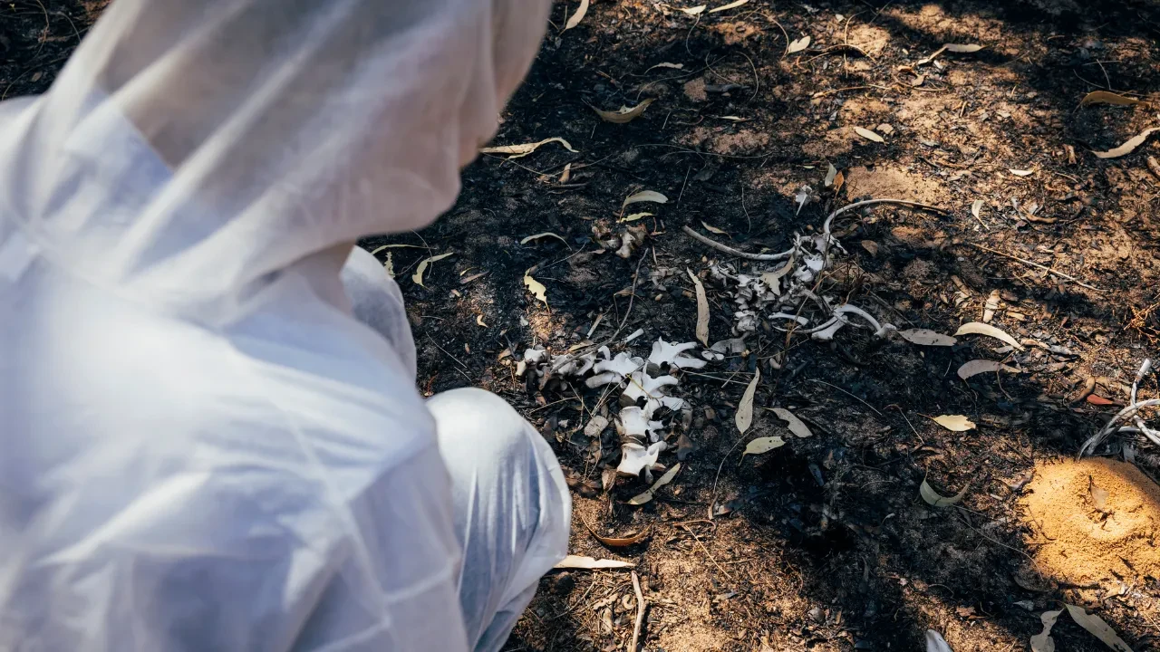 Türkiye’deki cinayetlerin kan donduran ortak özelliği! Adli Tıp Uzmanı Hakan Kar'dan sarsıcı açıklamalar