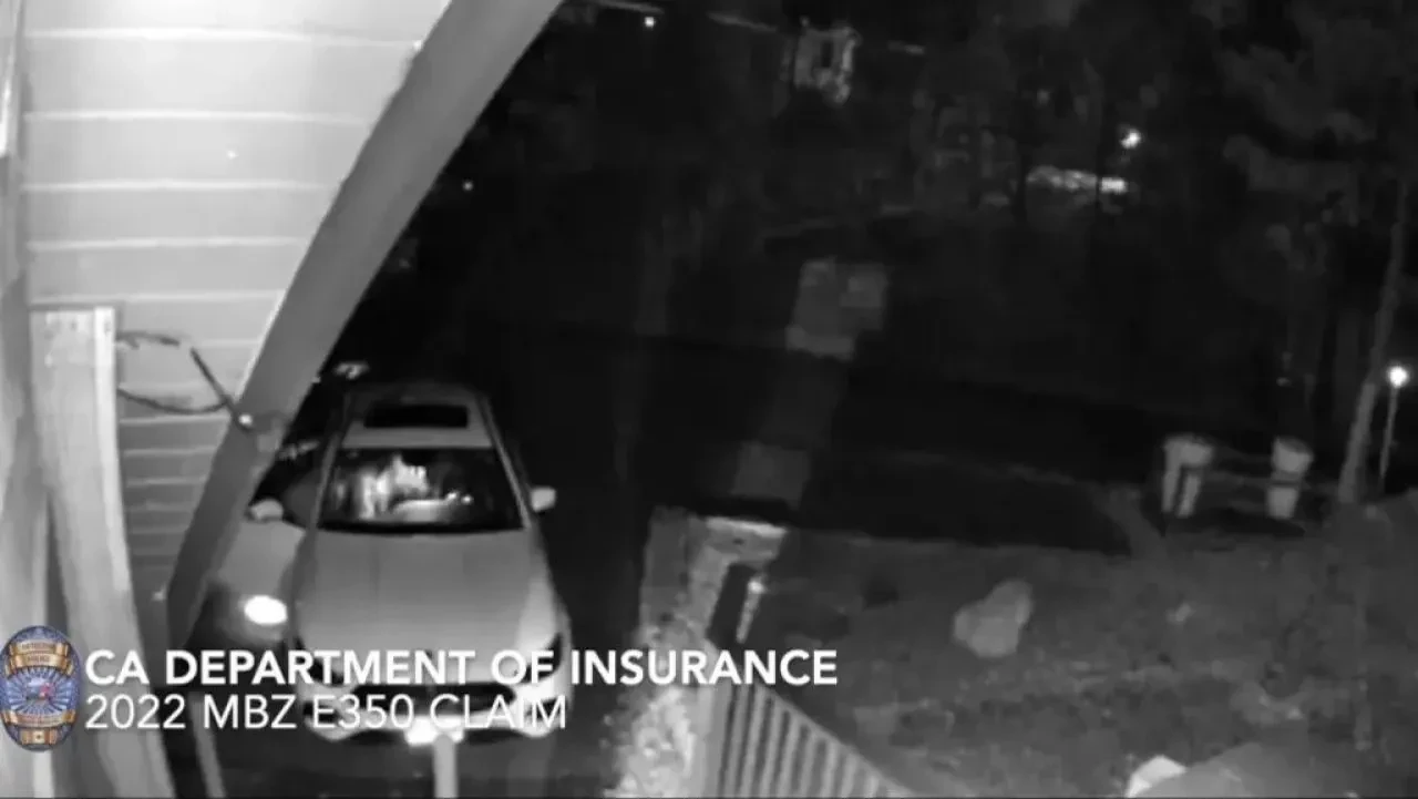 Ayı kostümüyle sigorta dolandırıcılığının cezası kesildi 