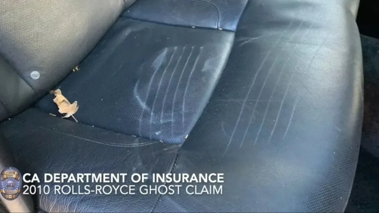 Ayı kostümüyle sigorta dolandırıcılığının cezası kesildi 