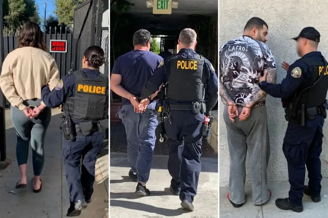 Ayı kostümüyle sigorta dolandırıcılığının cezası kesildi 