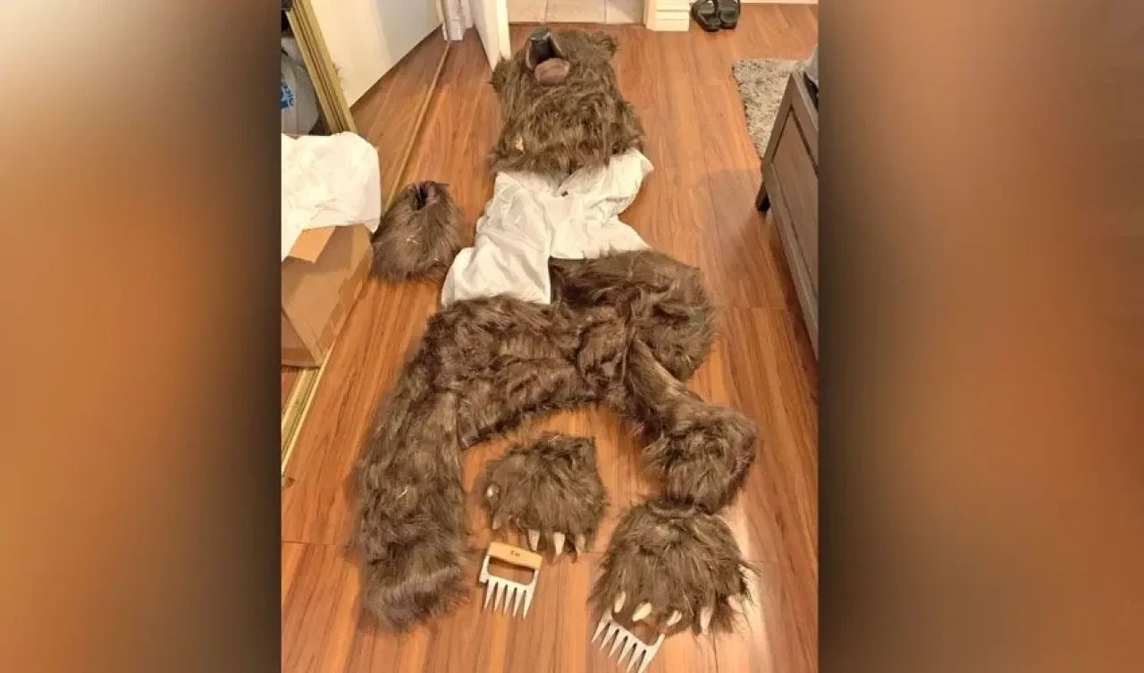 Ayı kostümüyle sigorta dolandırıcılığının cezası kesildi 