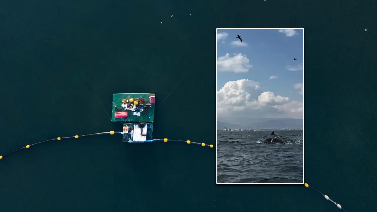 İzmit Körfezi'nin yeni hali dikkatlerden kaçmadı! Müsilaj sorunundan etkilenmişti