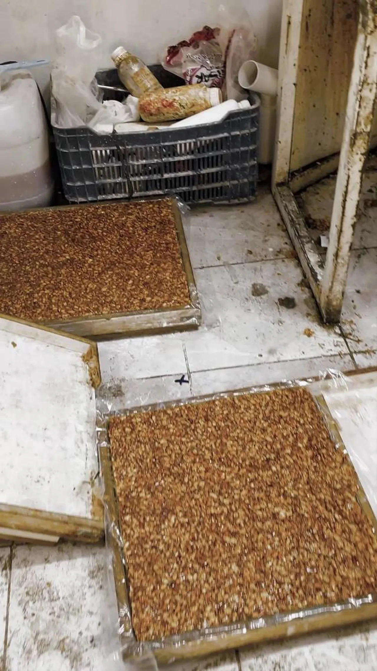 Tatlı üretiminden mide bulandıran görüntüler! Kötü koku her şeyi ortaya çıkardı